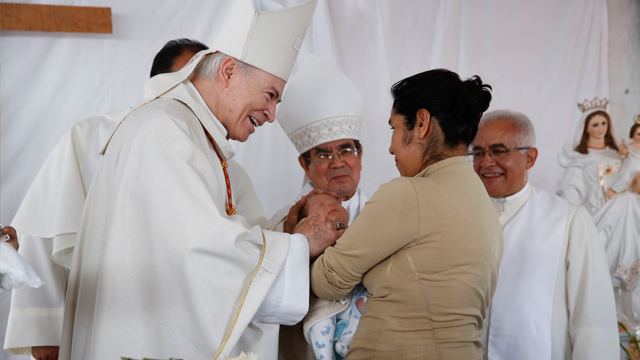 cardenal-04.jpg