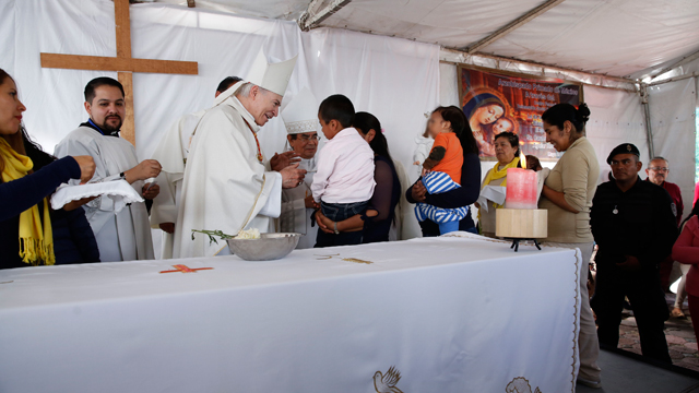 cardenal-03.jpg