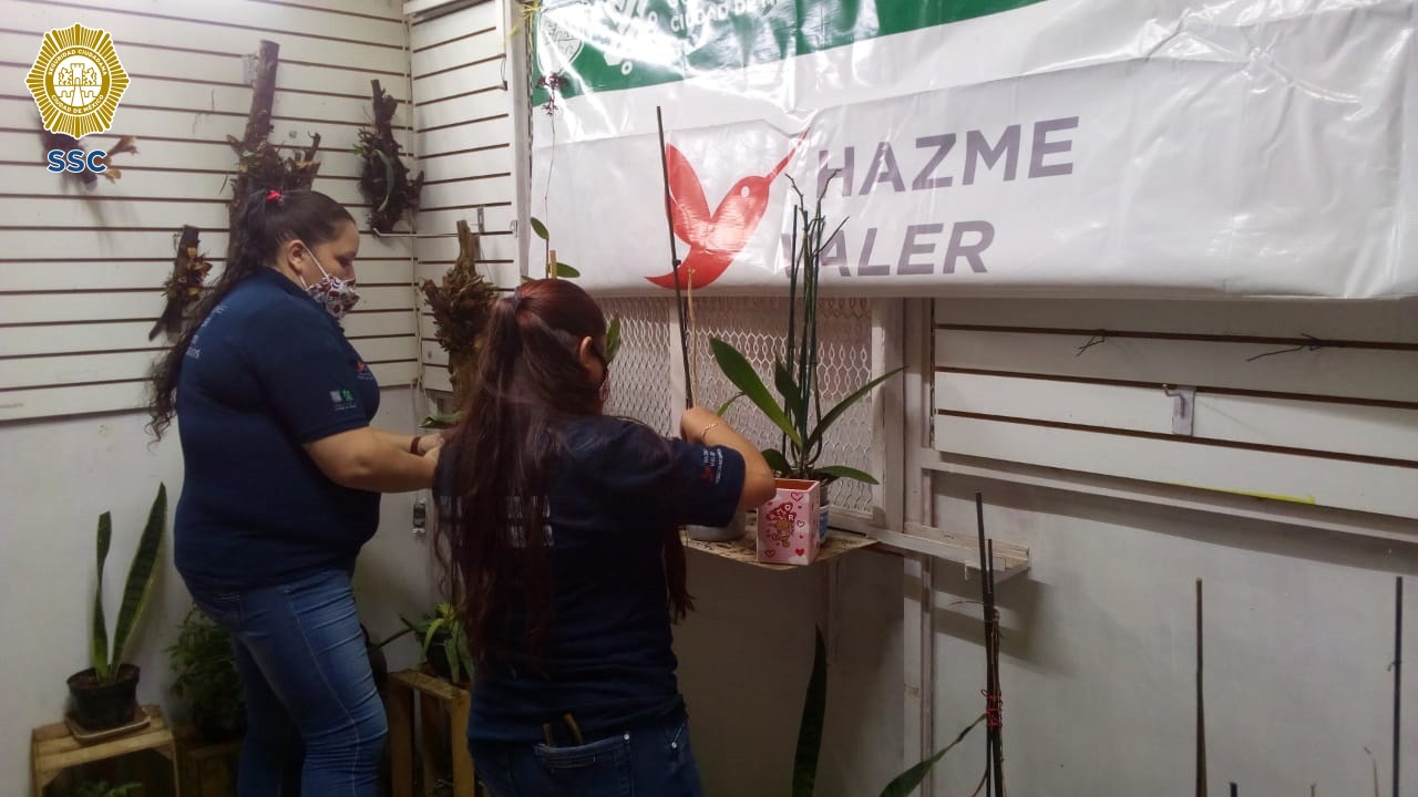 VENTA TULIPANES Y ORQUÍDEAS CULTIVADAS POR LAS PERSONAS PRIVADAS DE LA LIBERTAD (3).jpeg