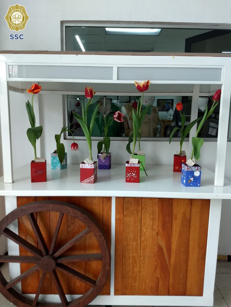 VENTA TULIPANES Y ORQUÍDEAS CULTIVADAS POR LAS PERSONAS PRIVADAS DE LA LIBERTAD (5).jpeg
