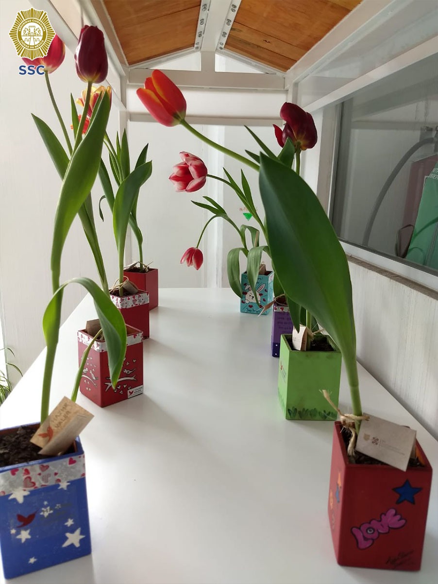VENTA TULIPANES Y ORQUÍDEAS CULTIVADAS POR LAS PERSONAS PRIVADAS DE LA LIBERTAD (9).jpeg