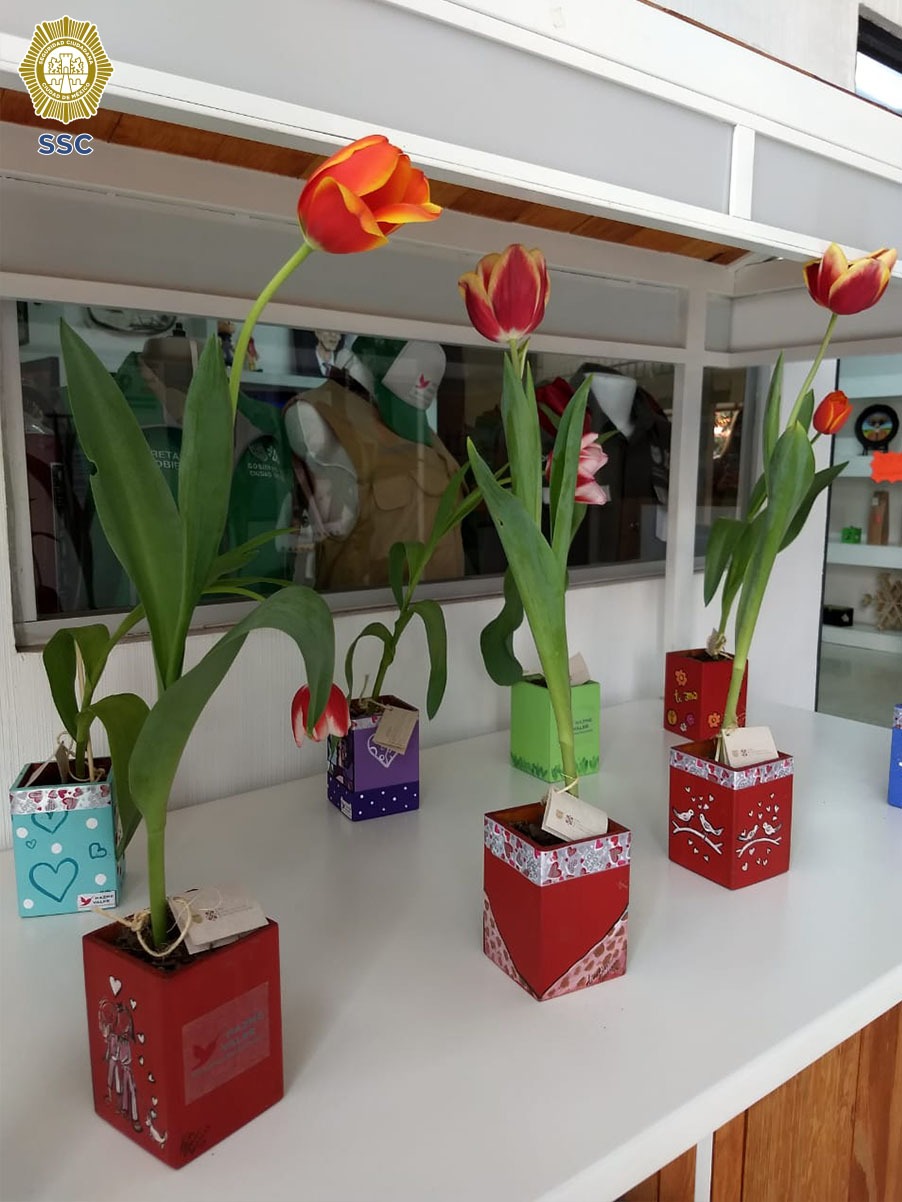 VENTA TULIPANES Y ORQUÍDEAS CULTIVADAS POR LAS PERSONAS PRIVADAS DE LA LIBERTAD (10).jpeg