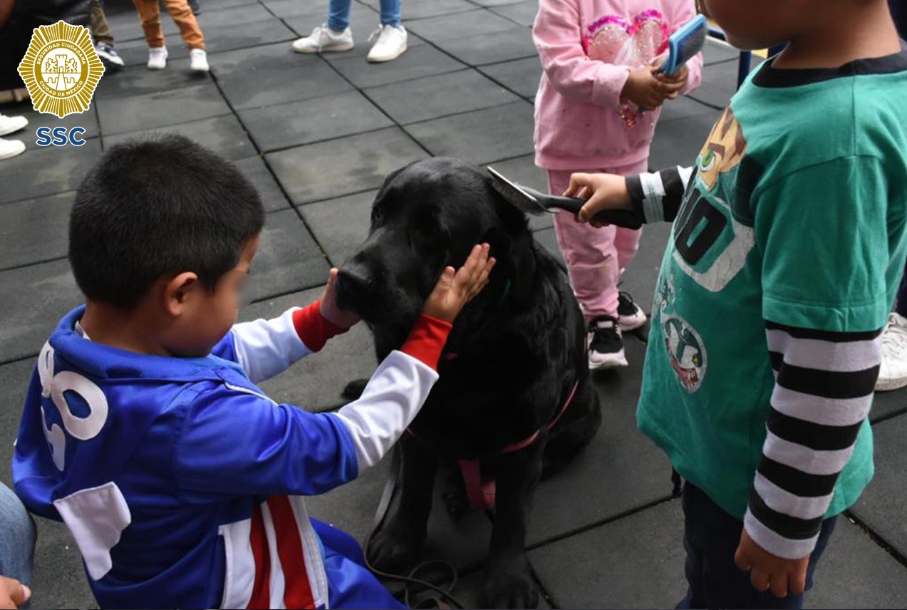 IMG-20220809-WA0021[1].jpg
